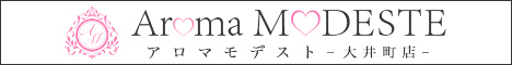 Aroma Modeste〜アロマモデスト 大井町店